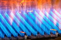 Coed Morgan gas fired boilers